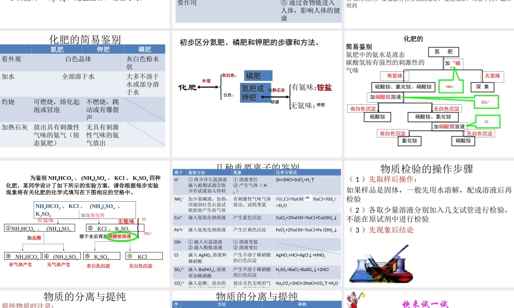 安徽省阜南县三塔中学九年级化学下册 11.2 化学肥料课件（2） （新版）新人教版