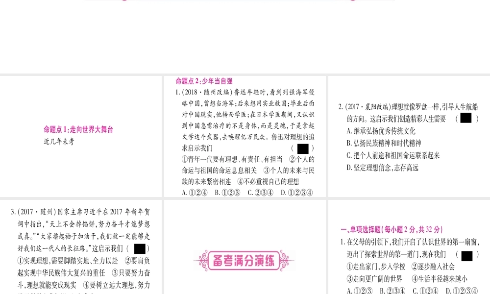 （云南专版）中考道德与法治总复习 第1篇 真题体验 满分演练九下 第3单元 走向未来的少年 第5课 少年的担当课件-人教版初中九年级全册政治课件