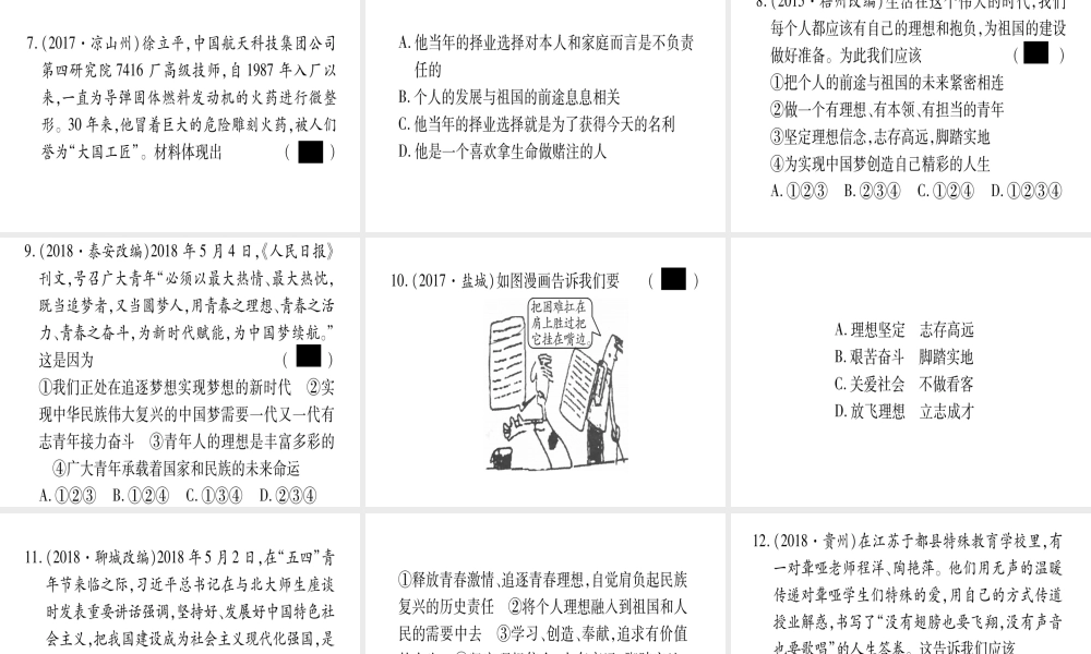 （云南专版）中考道德与法治总复习 第1篇 真题体验 满分演练九下 第3单元 走向未来的少年 第5课 少年的担当课件-人教版初中九年级全册政治课件