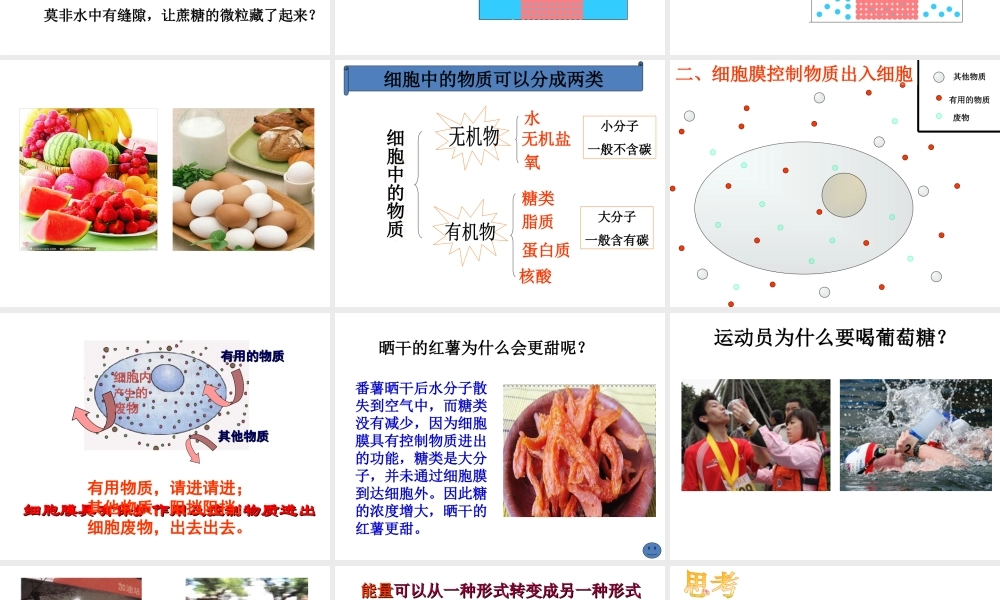 安徽省合肥市长丰县七年级生物上册 2.1.4《细胞的生活》课件4 （新版）新人教版-（新版）新人教版初中七年级上册生物课件