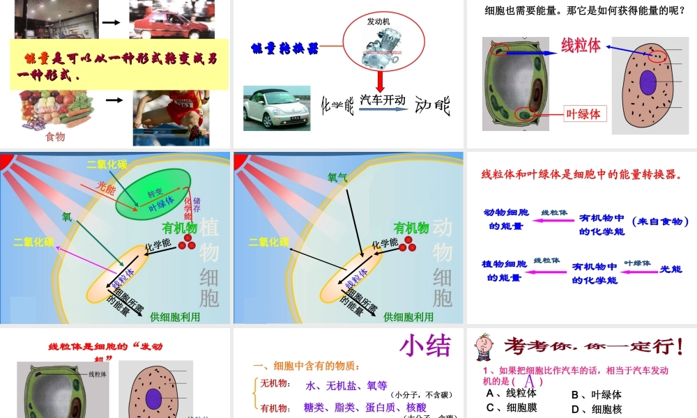 安徽省合肥市长丰县七年级生物上册 2.1.4《细胞的生活》课件4 （新版）新人教版-（新版）新人教版初中七年级上册生物课件