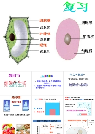 安徽省合肥市长丰县七年级生物上册 2.1.4《细胞的生活》课件4 （新版）新人教版-（新版）新人教版初中七年级上册生物课件