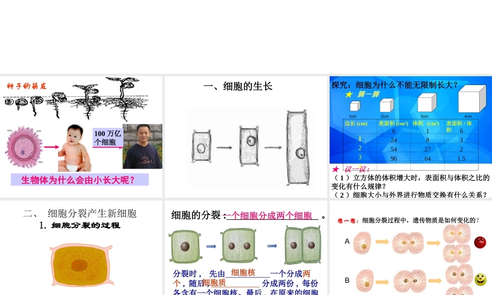安徽省合肥市长丰县七年级生物上册 2.2.1《细胞通过分裂产生新细胞》课件1 （新版）新人教版-（新版）新人教版初中七年级上册生物课件