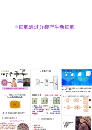 安徽省合肥市长丰县七年级生物上册 2.2.1《细胞通过分裂产生新细胞》课件1 （新版）新人教版-（新版）新人教版初中七年级上册生物课件