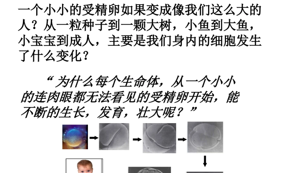 安徽省合肥市长丰县七年级生物上册 2.2.1《细胞通过分裂产生新细胞》课件2 （新版）新人教版-（新版）新人教版初中七年级上册生物课件