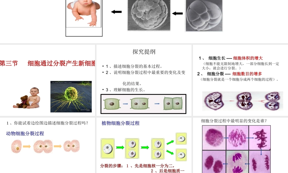 安徽省合肥市长丰县七年级生物上册 2.2.1《细胞通过分裂产生新细胞》课件2 （新版）新人教版-（新版）新人教版初中七年级上册生物课件