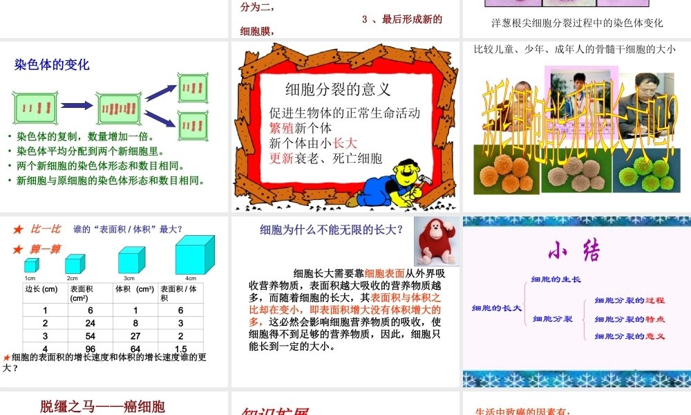 安徽省合肥市长丰县七年级生物上册 2.2.1《细胞通过分裂产生新细胞》课件2 （新版）新人教版-（新版）新人教版初中七年级上册生物课件