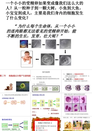 安徽省合肥市长丰县七年级生物上册 2.2.1《细胞通过分裂产生新细胞》课件2 （新版）新人教版-（新版）新人教版初中七年级上册生物课件