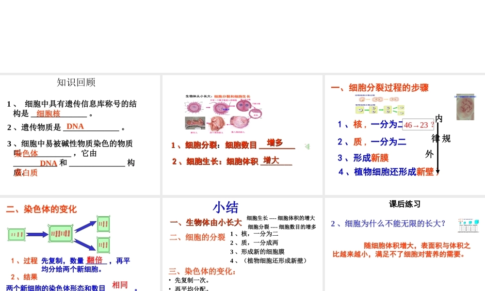 安徽省合肥市长丰县七年级生物上册 2.2.1《细胞通过分裂产生新细胞》课件3 （新版）新人教版-（新版）新人教版初中七年级上册生物课件