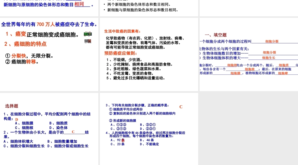 安徽省合肥市长丰县七年级生物上册 2.2.1《细胞通过分裂产生新细胞》课件3 （新版）新人教版-（新版）新人教版初中七年级上册生物课件