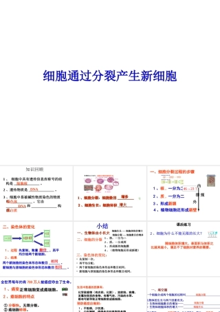 安徽省合肥市长丰县七年级生物上册 2.2.1《细胞通过分裂产生新细胞》课件3 （新版）新人教版-（新版）新人教版初中七年级上册生物课件