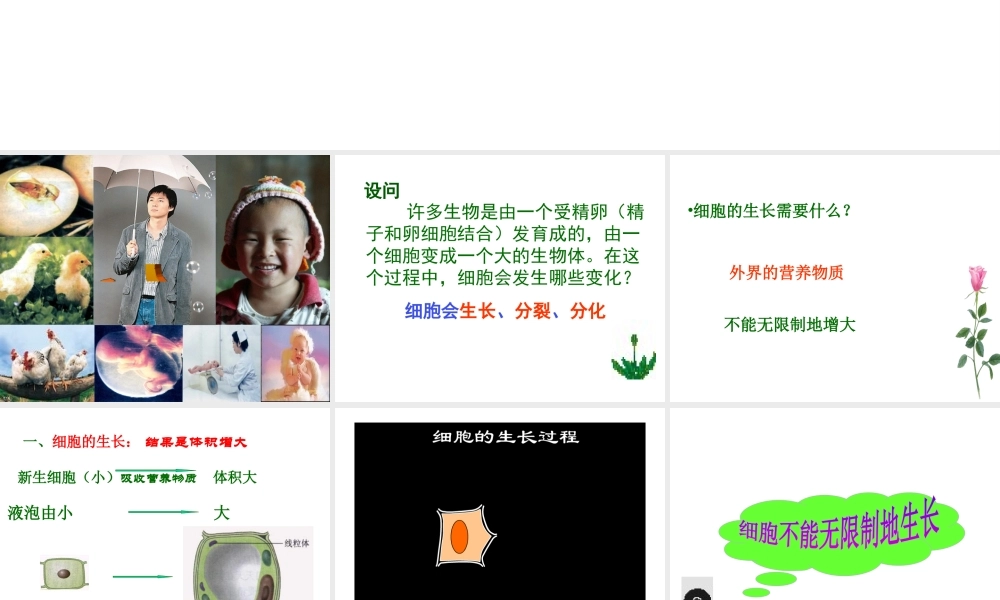 安徽省合肥市长丰县七年级生物上册 2.2.1《细胞通过分裂产生新细胞》课件4 （新版）新人教版-（新版）新人教版初中七年级上册生物课件