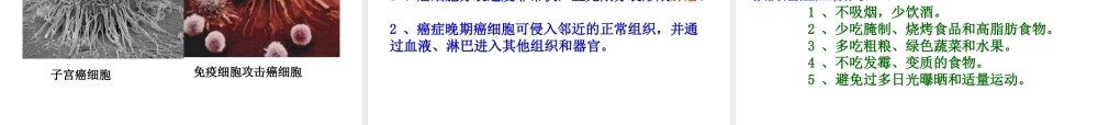 安徽省合肥市长丰县七年级生物上册 2.2.1《细胞通过分裂产生新细胞》课件4 （新版）新人教版-（新版）新人教版初中七年级上册生物课件