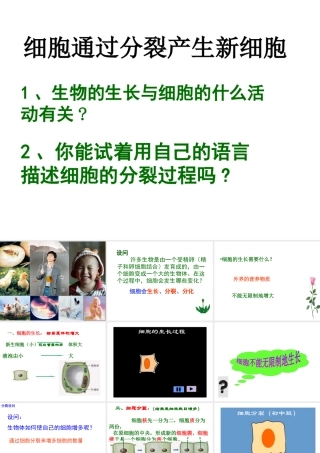 安徽省合肥市长丰县七年级生物上册 2.2.1《细胞通过分裂产生新细胞》课件4 （新版）新人教版-（新版）新人教版初中七年级上册生物课件