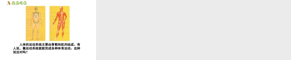 安徽省合肥市长丰县七年级生物上册 2.2.2《动物体的结构层次》课件1 （新版）新人教版-（新版）新人教版初中七年级上册生物课件