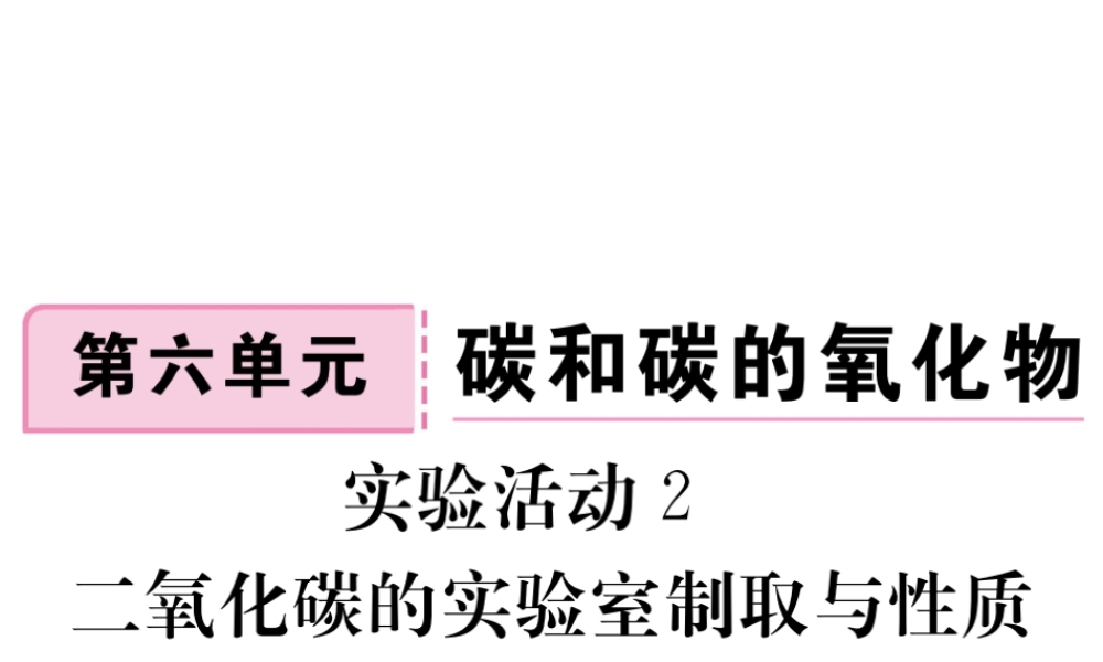 安徽省秋九年级化学上册 第六单元 碳和碳的氧化物 实验活动2 二氧化碳的实验室制取与性质练习课件（含模拟）（新版）新人教版-（新版）新人教版初中九年级上册化学课件