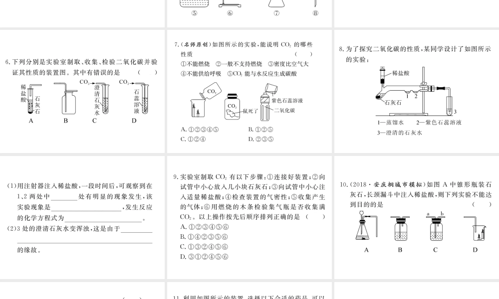 安徽省秋九年级化学上册 第六单元 碳和碳的氧化物 实验活动2 二氧化碳的实验室制取与性质练习课件（含模拟）（新版）新人教版-（新版）新人教版初中九年级上册化学课件