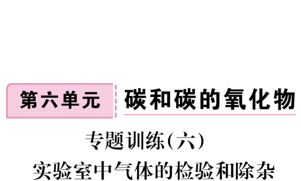 安徽省秋九年级化学上册 第六单元 碳和碳的氧化物 专题训练（六）实验室中气体的检验和除杂练习课件（含模拟）（新版）新人教版-（新版）新人教版初中九年级上册化学课件