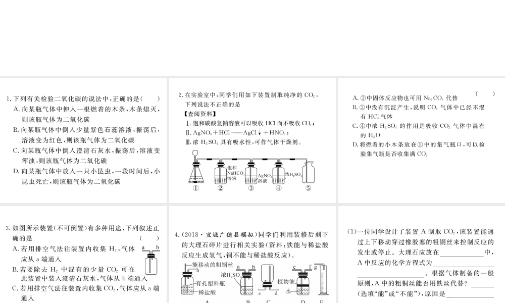 安徽省秋九年级化学上册 第六单元 碳和碳的氧化物 专题训练（六）实验室中气体的检验和除杂练习课件（含模拟）（新版）新人教版-（新版）新人教版初中九年级上册化学课件