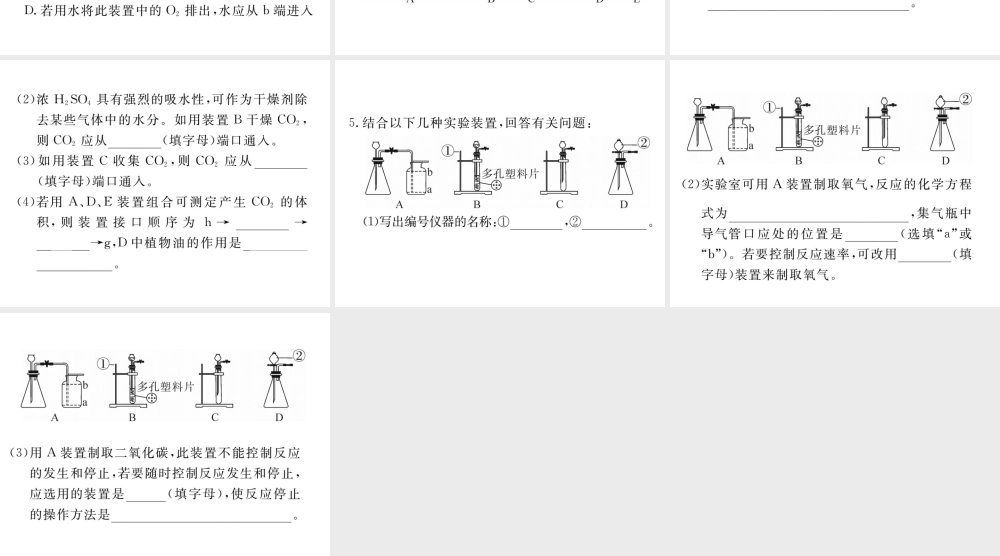 安徽省秋九年级化学上册 第六单元 碳和碳的氧化物 专题训练（六）实验室中气体的检验和除杂练习课件（含模拟）（新版）新人教版-（新版）新人教版初中九年级上册化学课件