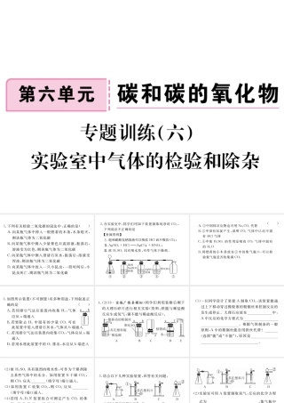 安徽省秋九年级化学上册 第六单元 碳和碳的氧化物 专题训练（六）实验室中气体的检验和除杂练习课件（含模拟）（新版）新人教版-（新版）新人教版初中九年级上册化学课件