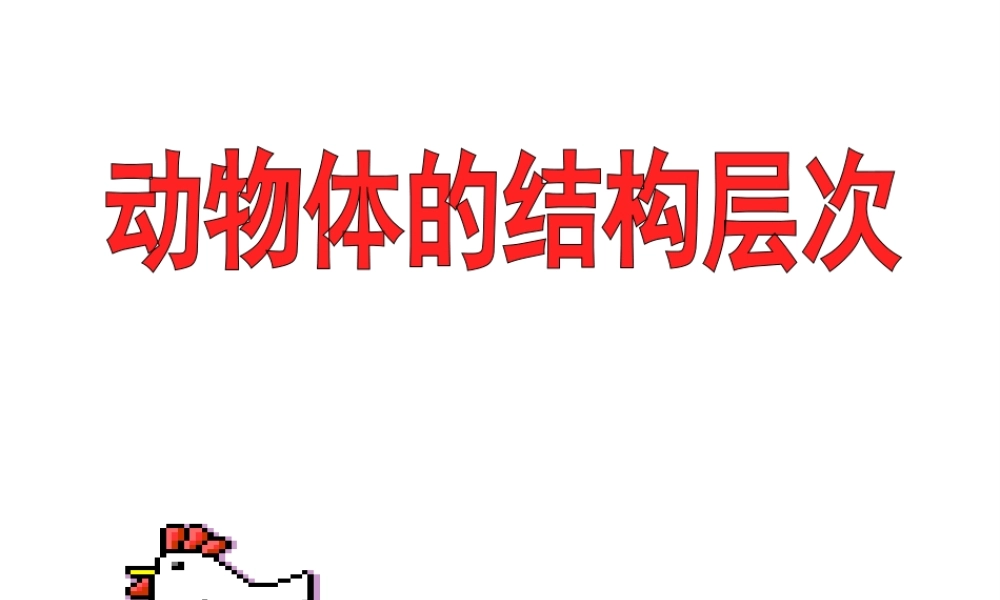 安徽省合肥市长丰县七年级生物上册 2.2.2《动物体的结构层次》课件3 （新版）新人教版-（新版）新人教版初中七年级上册生物课件