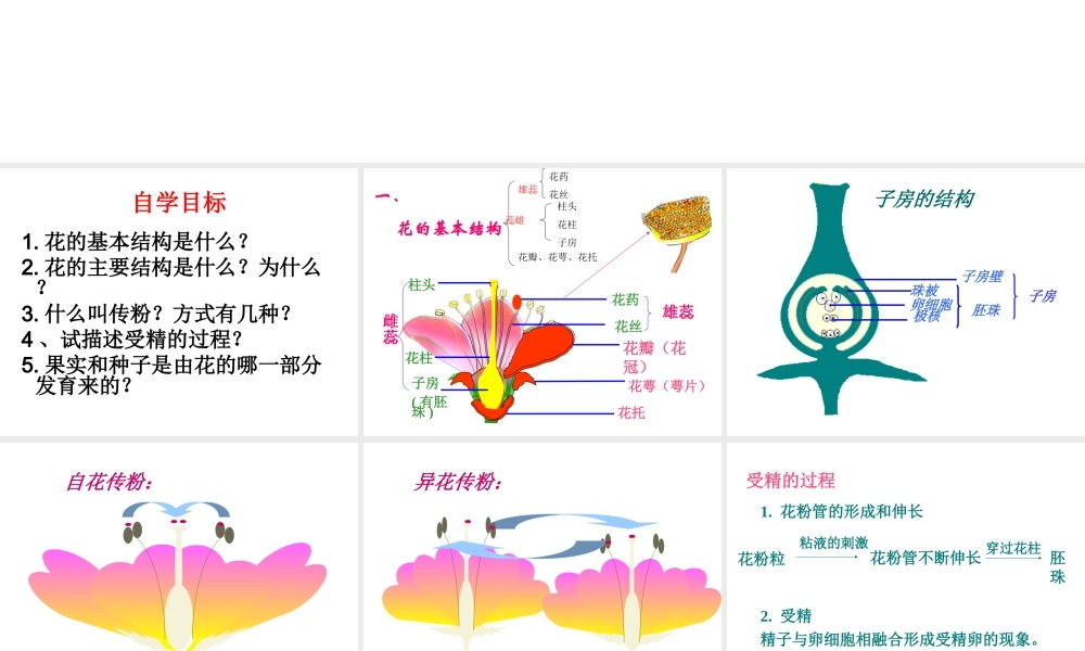安徽省聊城定远中学七年级生物上册《开花与结果》课件