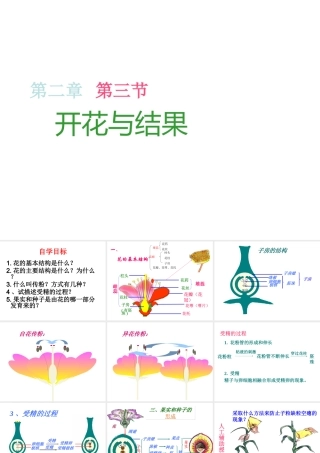 安徽省聊城定远中学七年级生物上册《开花与结果》课件