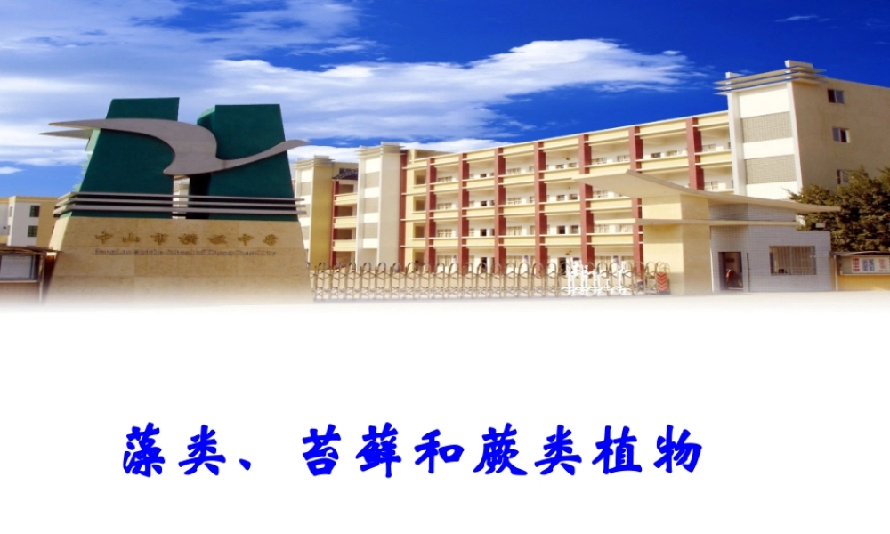 安徽省合肥市长丰县七年级生物上册 3.1.1《藻类、苔藓和蕨类植物》课件2 （新版）新人教版-（新版）新人教版初中七年级上册生物课件