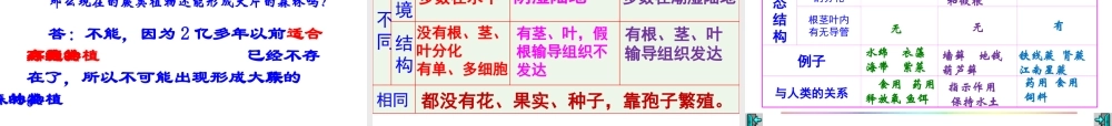 安徽省合肥市长丰县七年级生物上册 3.1.1《藻类、苔藓和蕨类植物》课件2 （新版）新人教版-（新版）新人教版初中七年级上册生物课件