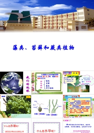 安徽省合肥市长丰县七年级生物上册 3.1.1《藻类、苔藓和蕨类植物》课件2 （新版）新人教版-（新版）新人教版初中七年级上册生物课件