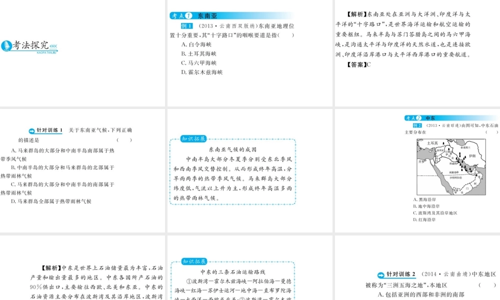 （云南专用）中考地理总复习 第三单元 世界区域地理（第7课时）各具特色的地区（一）课件-人教版初中九年级全册地理课件