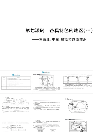 （云南专用）中考地理总复习 第三单元 世界区域地理（第7课时）各具特色的地区（一）课件-人教版初中九年级全册地理课件