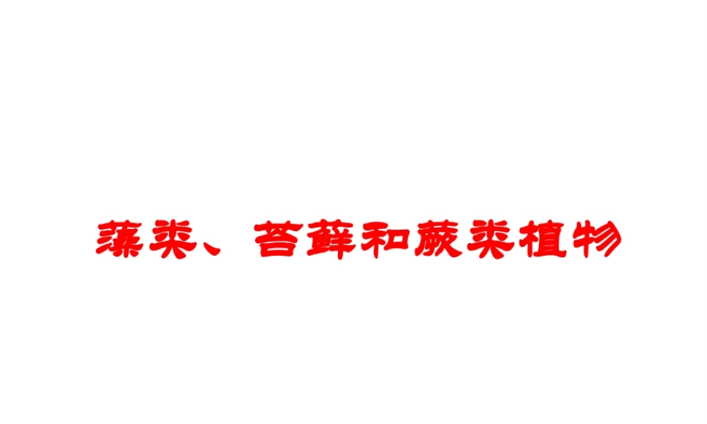 安徽省合肥市长丰县七年级生物上册 3.1.1《藻类、苔藓和蕨类植物》课件3 （新版）新人教版-（新版）新人教版初中七年级上册生物课件