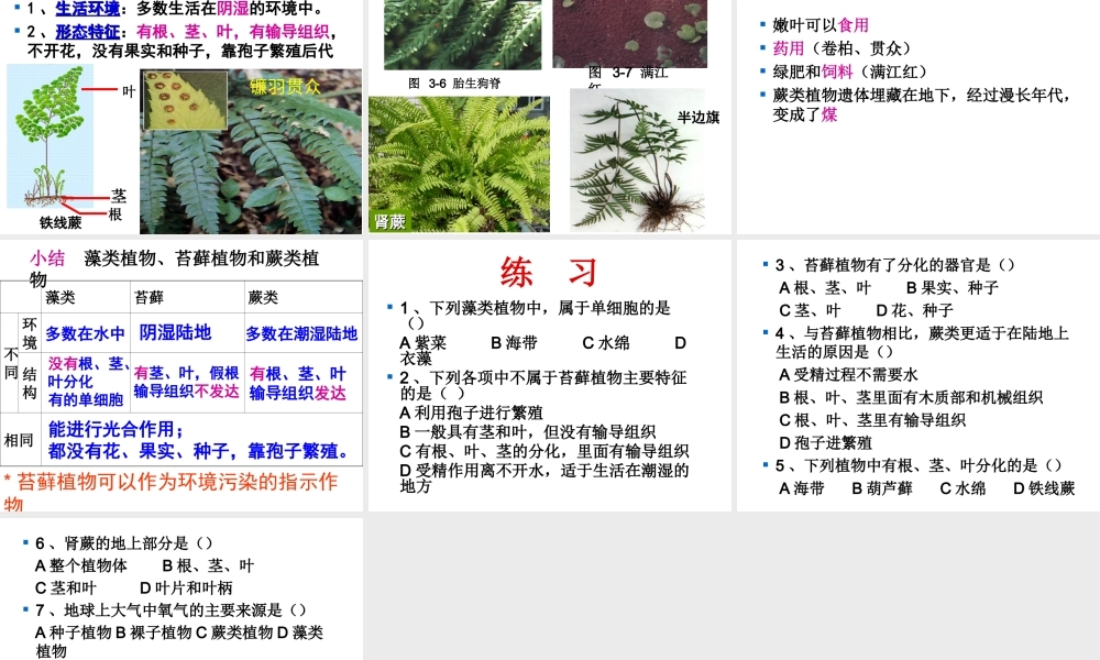 安徽省合肥市长丰县七年级生物上册 3.1.1《藻类、苔藓和蕨类植物》课件3 （新版）新人教版-（新版）新人教版初中七年级上册生物课件