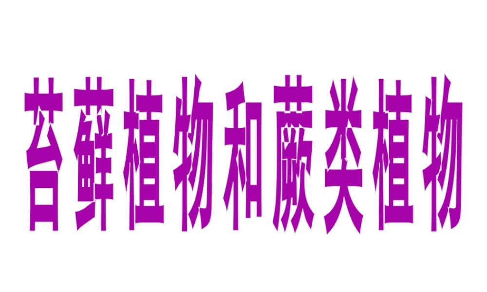安徽省合肥市长丰县七年级生物上册 3.1.1《藻类、苔藓和蕨类植物》课件4 （新版）新人教版-（新版）新人教版初中七年级上册生物课件