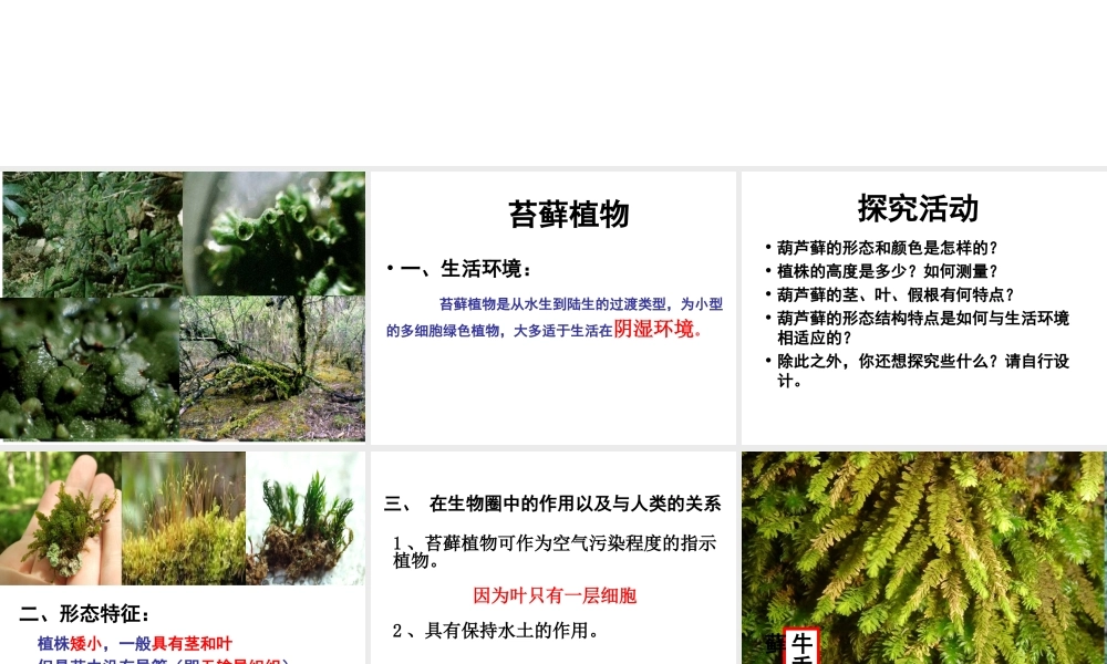 安徽省合肥市长丰县七年级生物上册 3.1.1《藻类、苔藓和蕨类植物》课件4 （新版）新人教版-（新版）新人教版初中七年级上册生物课件