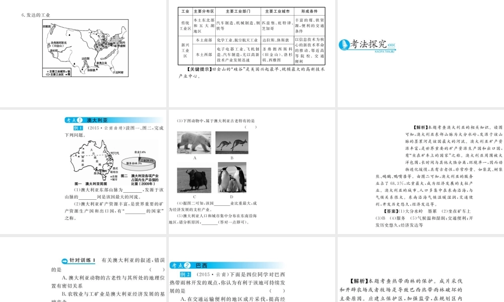 （云南专用）中考地理总复习 第三单元 世界区域地理（第10课时）不同类型的国家（二）课件-人教版初中九年级全册地理课件