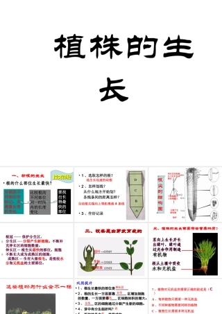 安徽省合肥市长丰县七年级生物上册 3.2.2 植株的生长课件1 （新版）新人教版-（新版）新人教版初中七年级上册生物课件