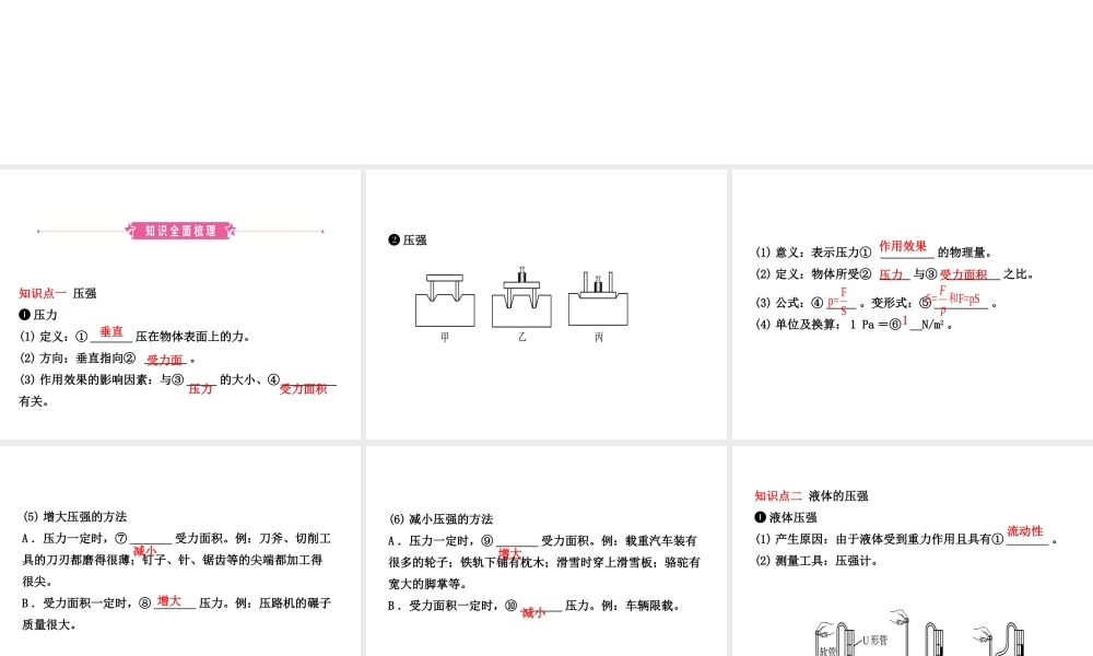 （东营专版）中考物理总复习 第九章 压强课件-人教版初中九年级全册物理课件