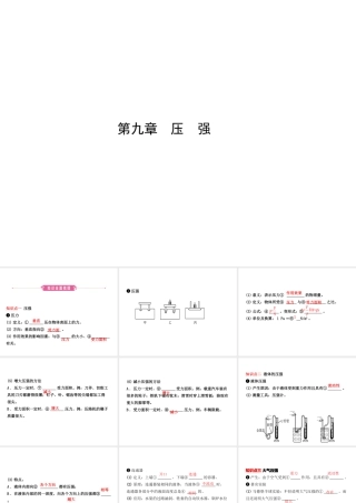 （东营专版）中考物理总复习 第九章 压强课件-人教版初中九年级全册物理课件