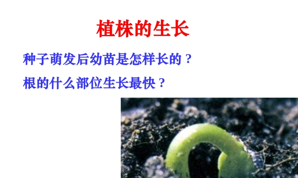 安徽省合肥市长丰县七年级生物上册 3.2.2 植株的生长课件2 （新版）新人教版-（新版）新人教版初中七年级上册生物课件