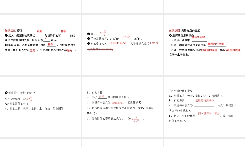 （东营专版）中考物理总复习 第六章 质量与密度课件-人教版初中九年级全册物理课件