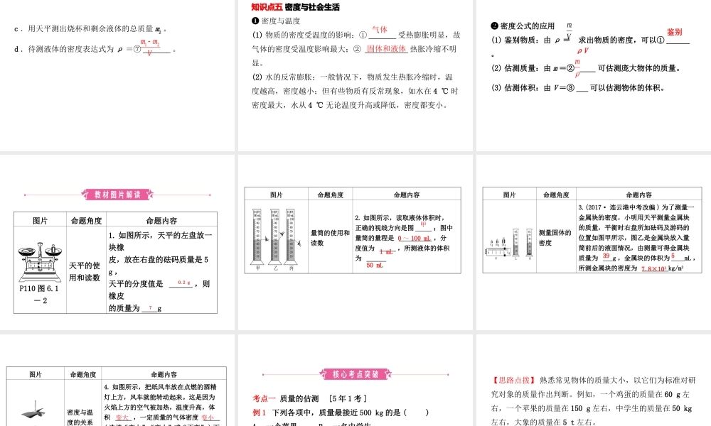 （东营专版）中考物理总复习 第六章 质量与密度课件-人教版初中九年级全册物理课件