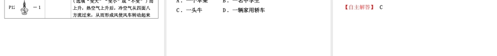 （东营专版）中考物理总复习 第六章 质量与密度课件-人教版初中九年级全册物理课件