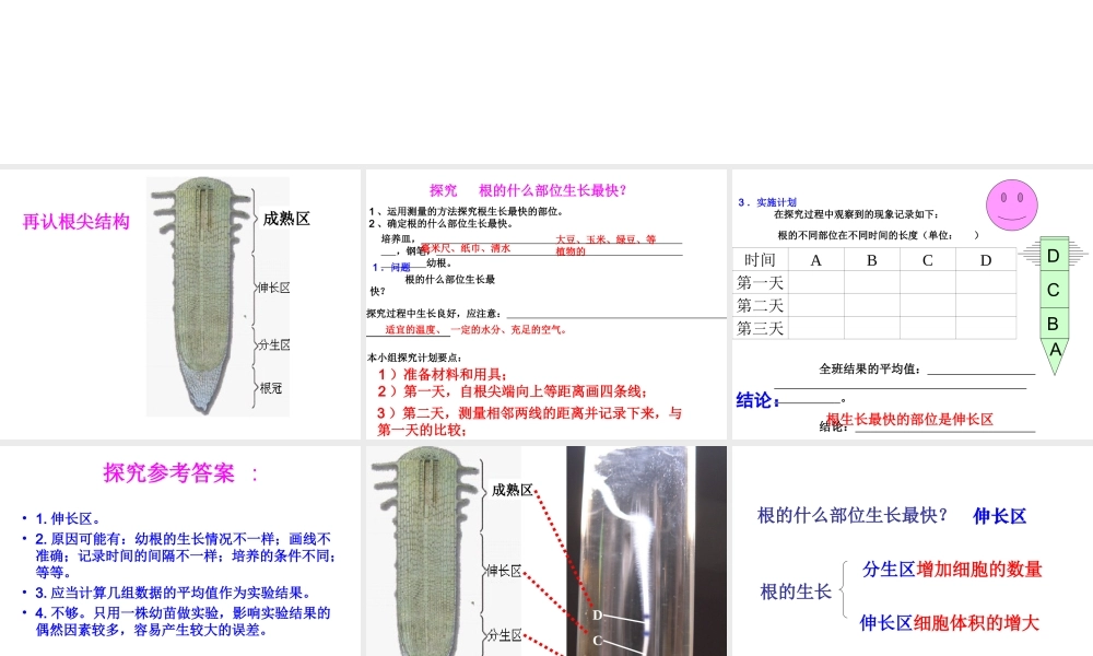 安徽省合肥市长丰县七年级生物上册 3.2.2 植株的生长课件3 （新版）新人教版-（新版）新人教版初中七年级上册生物课件