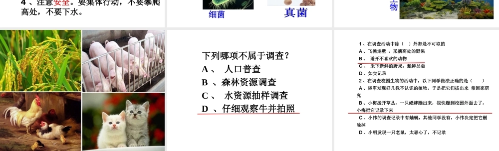 安徽省合肥市长丰县七年级生物上册 3.4.2《调查我们身边的生物》课件1 （新版）新人教版-（新版）新人教版初中七年级上册生物课件