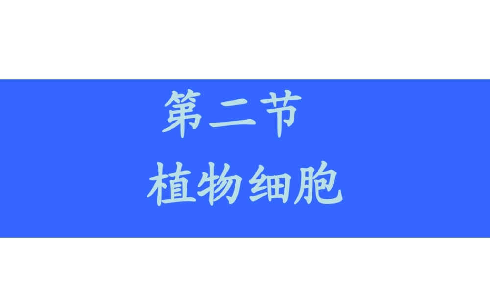 安徽省聊城定远中学七年级生物上册《植物细胞》课件