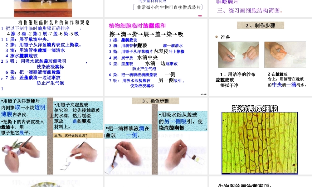 安徽省聊城定远中学七年级生物上册《植物细胞》课件