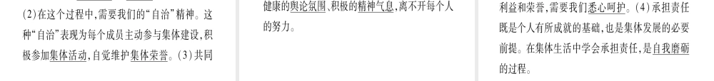 （云南专版）中考道德与法治总复习 七下 第3 4单元 在集体中成长 走进法治天地课件-人教版初中九年级全册政治课件